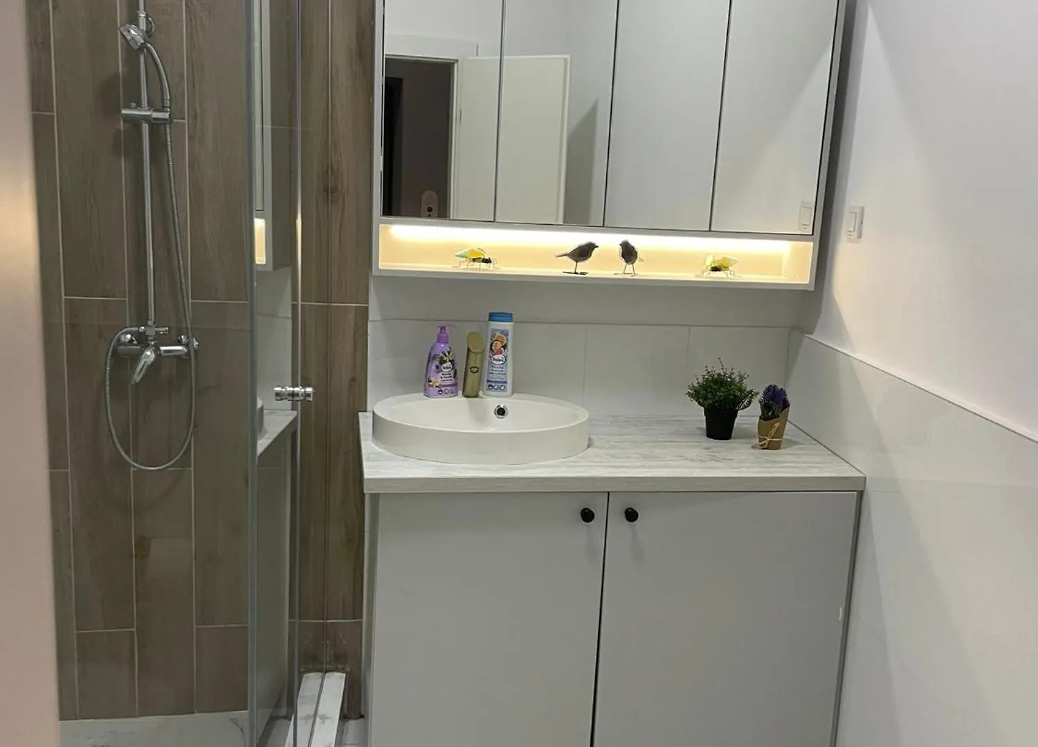Luxury Apartment In City Center Bucharest Romania